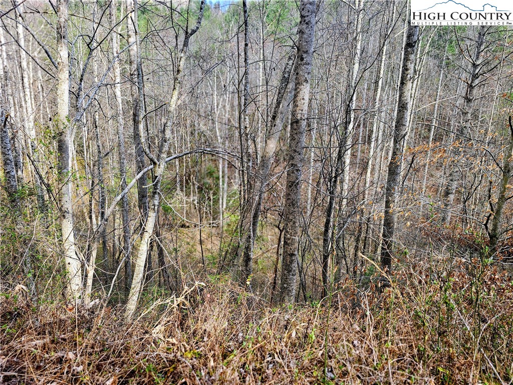 Lot 64 & 65 Bent Bow Drive Property Photo 12