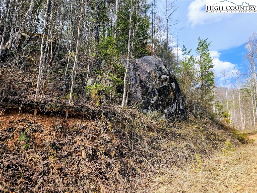 Lot 64 & 65 Bent Bow Drive Property Photo 13