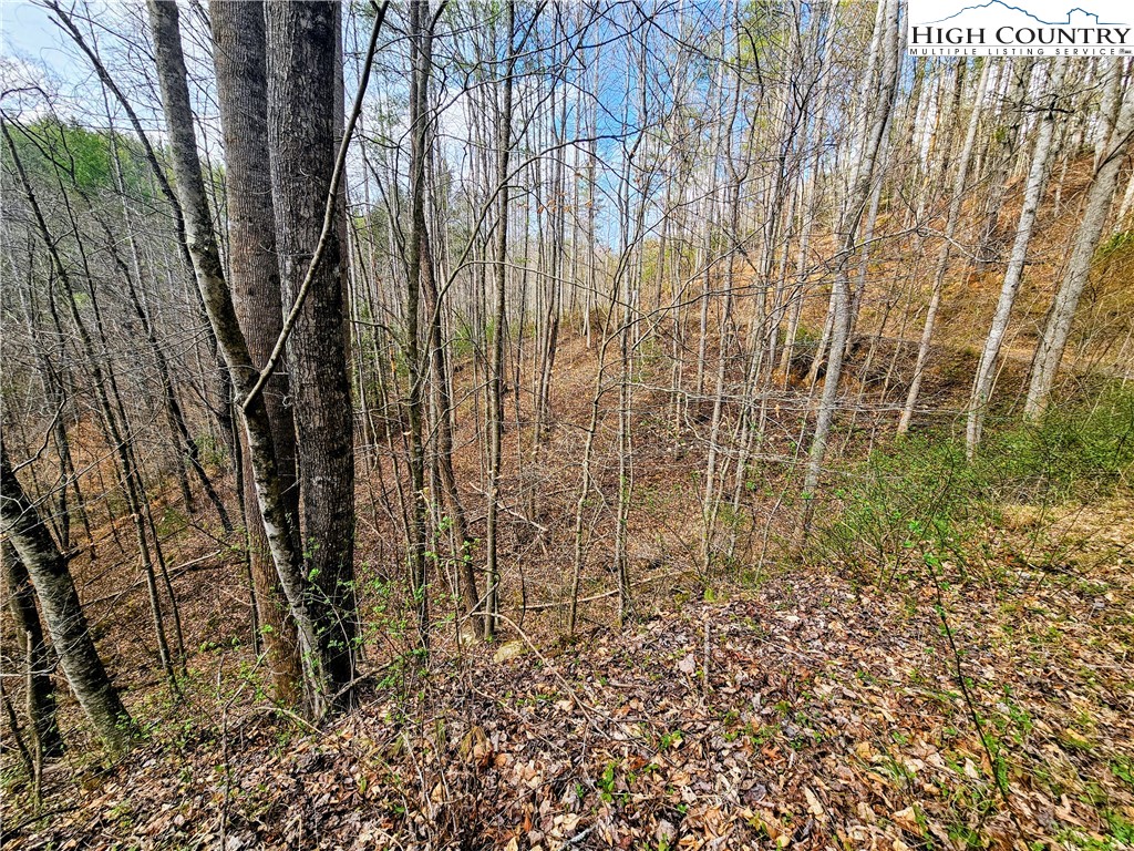 Lot 64 & 65 Bent Bow Drive Property Photo 14