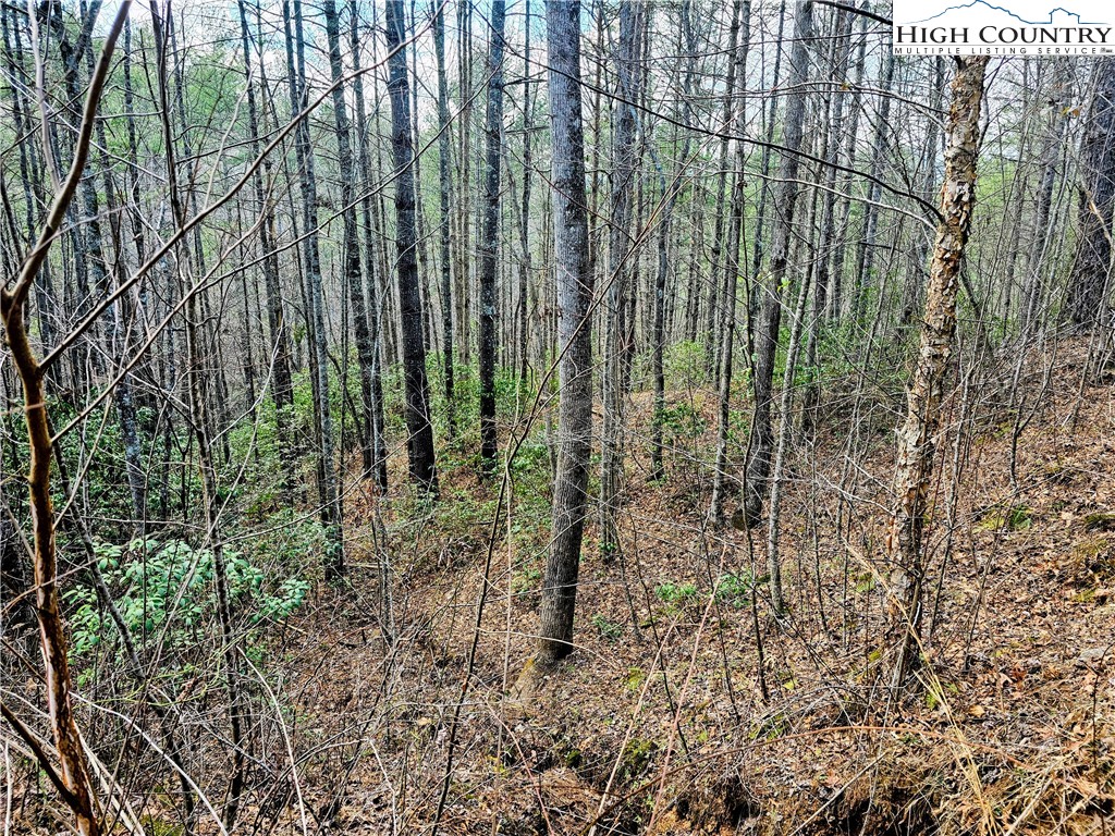 Lot 64 & 65 Bent Bow Drive Property Photo 15