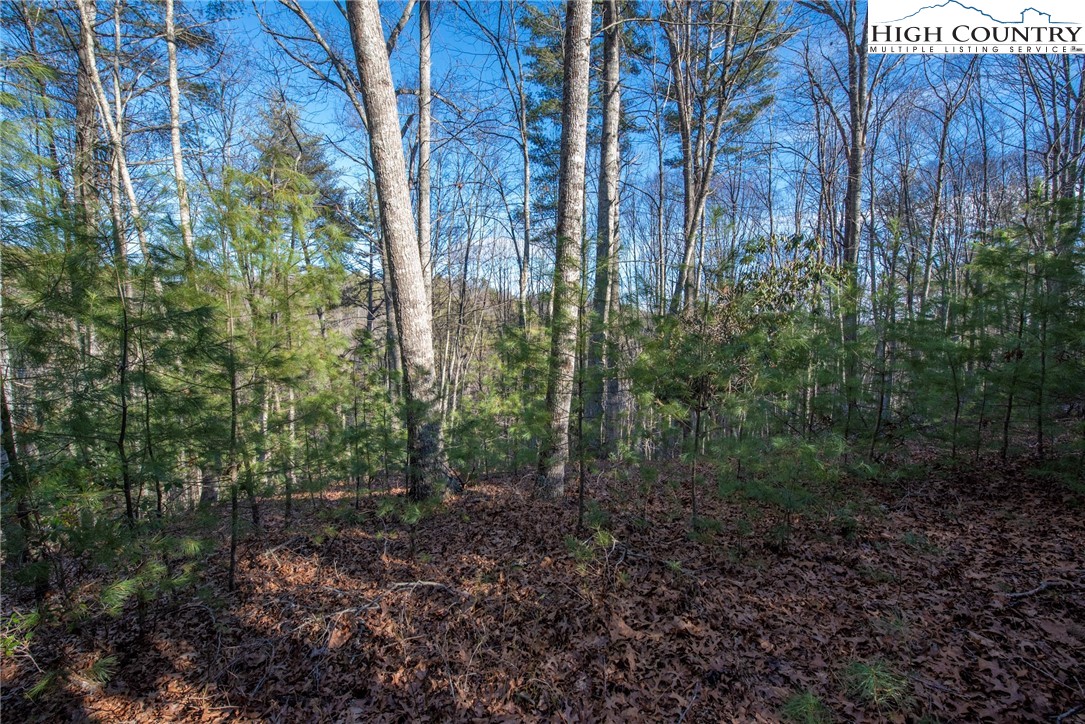 Tbd Prime Circle Property Photo 3