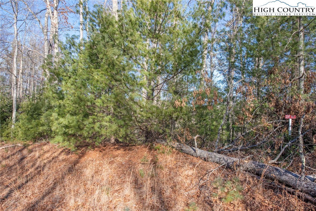 Tbd Prime Circle Property Photo 4