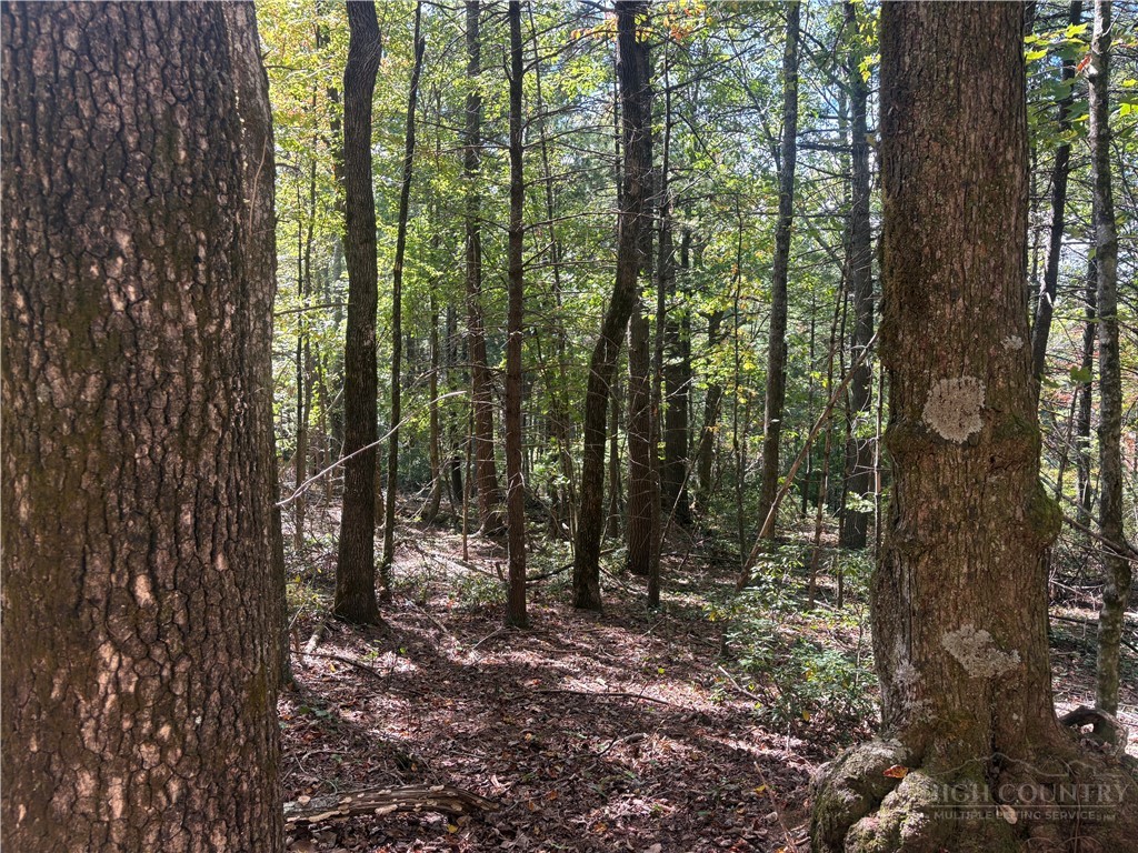 Lot #24 Eagles Nest Lane Property Photo 1