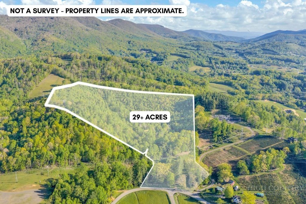 1260 & 1228 Nc Highway 194 S Property Photo 1