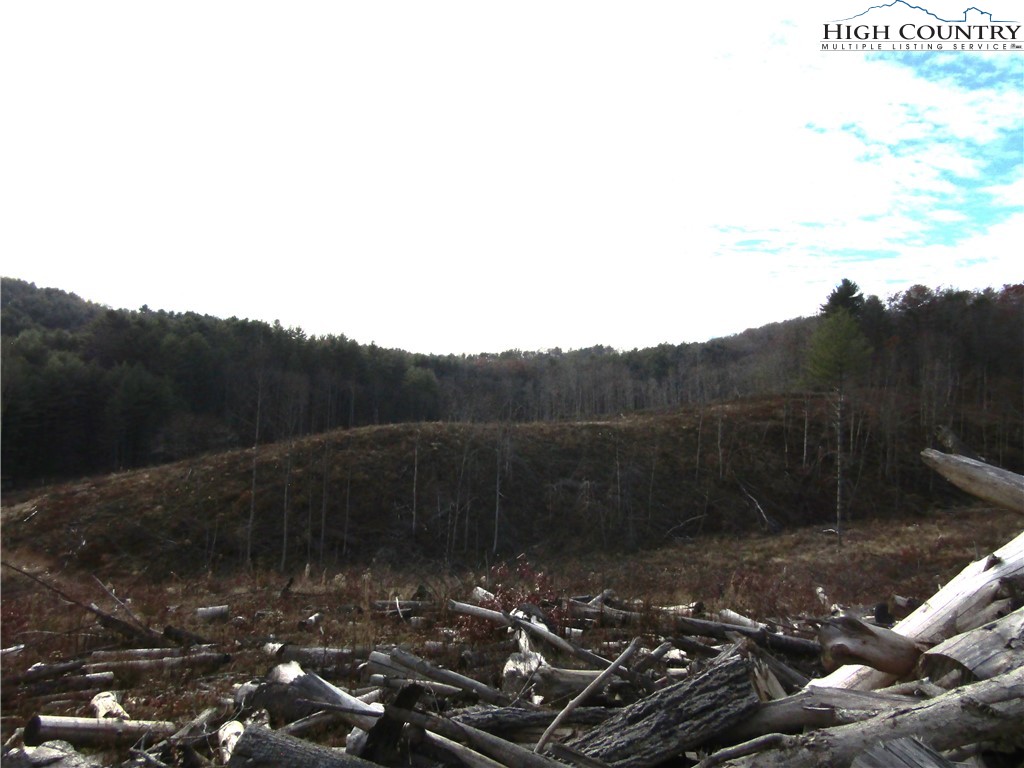 Tbd Plumb Nearly Rd Property Photo 11