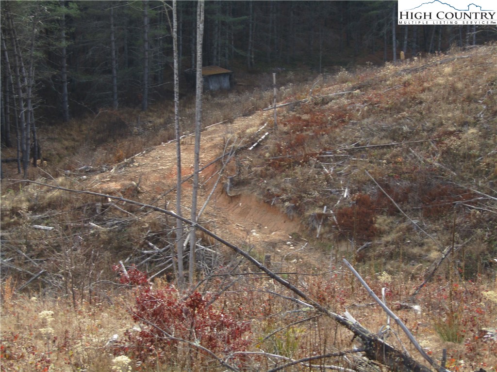 Tbd Plumb Nearly Rd Property Photo 12