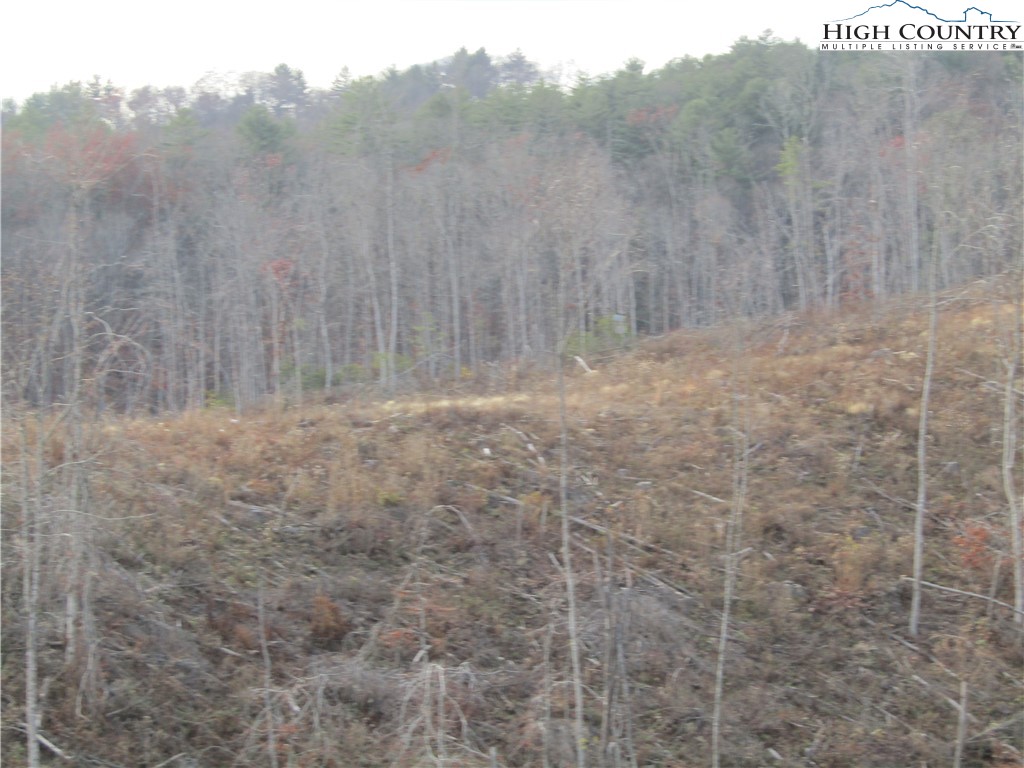 Tbd Plumb Nearly Rd Property Photo 13