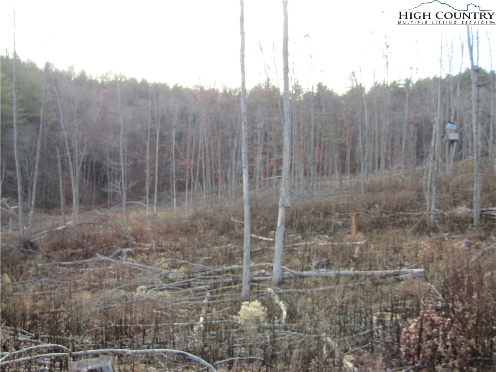 Tbd Plumb Nearly Rd Property Photo 15