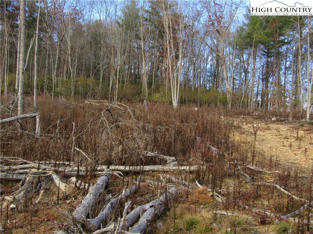 Tbd Plumb Nearly Rd Property Photo 17