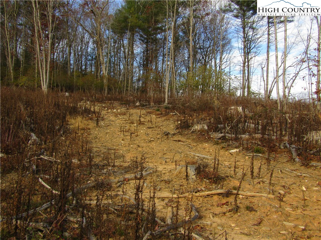 Tbd Plumb Nearly Rd Property Photo 18