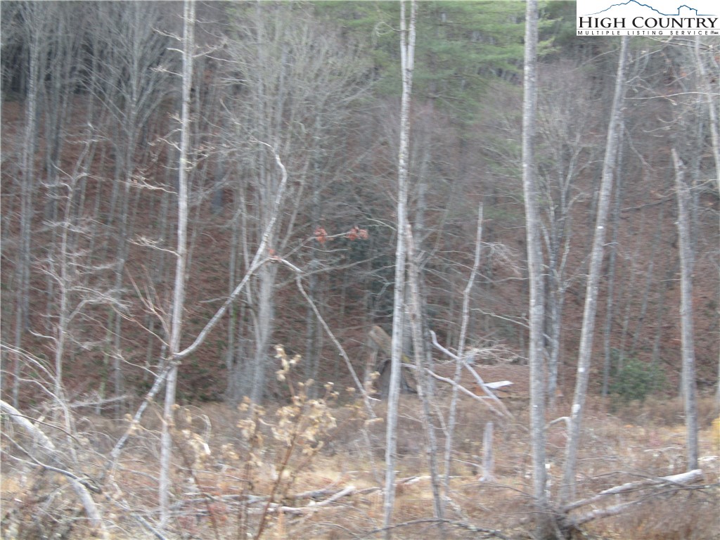 Tbd Plumb Nearly Rd Property Photo 19