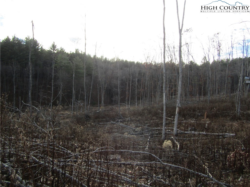 Tbd Plumb Nearly Rd Property Photo 20