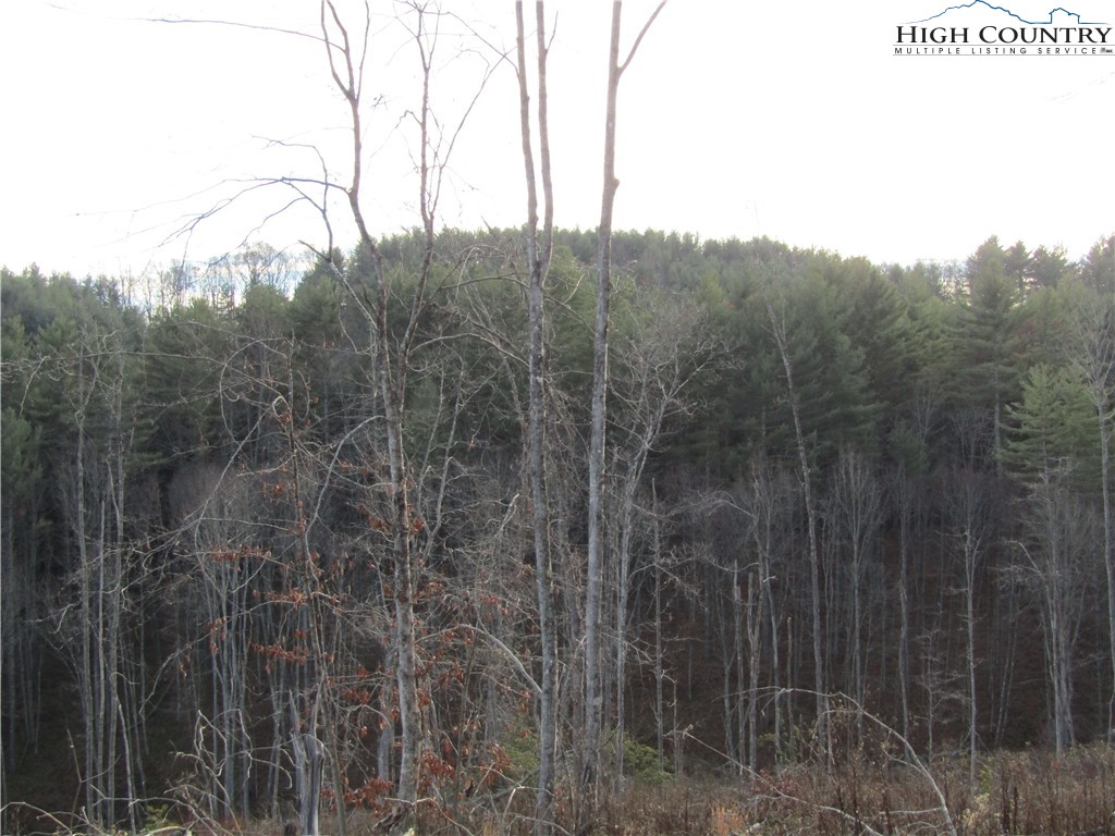 Tbd Plumb Nearly Rd Property Photo 29