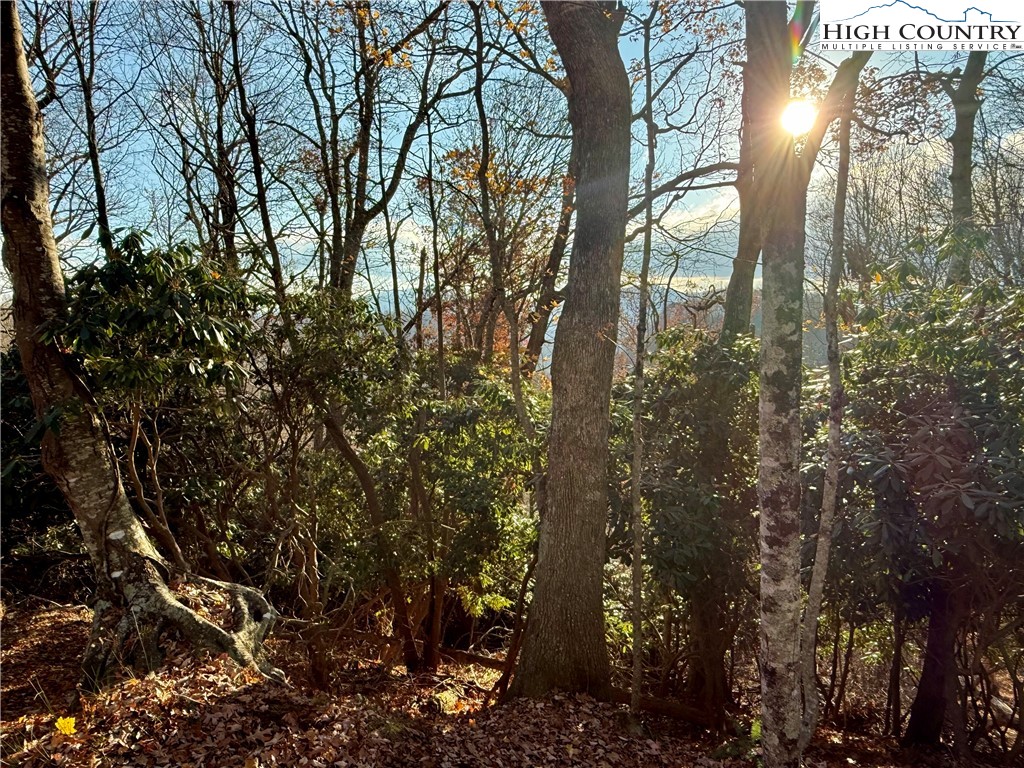 Tbd Pheasant Walk Way Property Photo 1