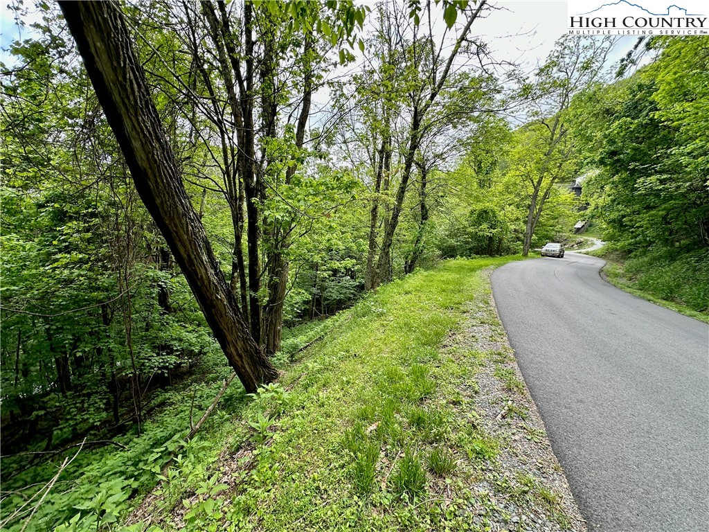 Tbd Alpine Drive Property Photo 2