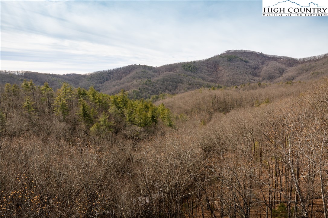 1255 Reynolds Parkway Property Photo 1
