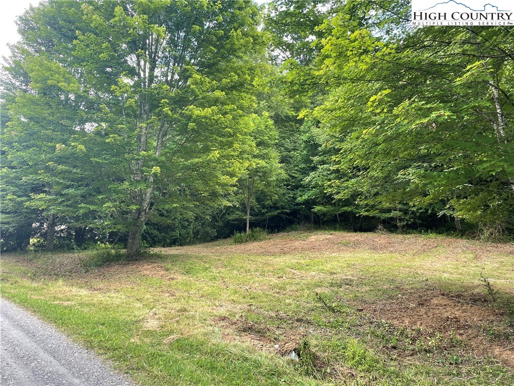 Tbd Forest Ridge Property Photo 1