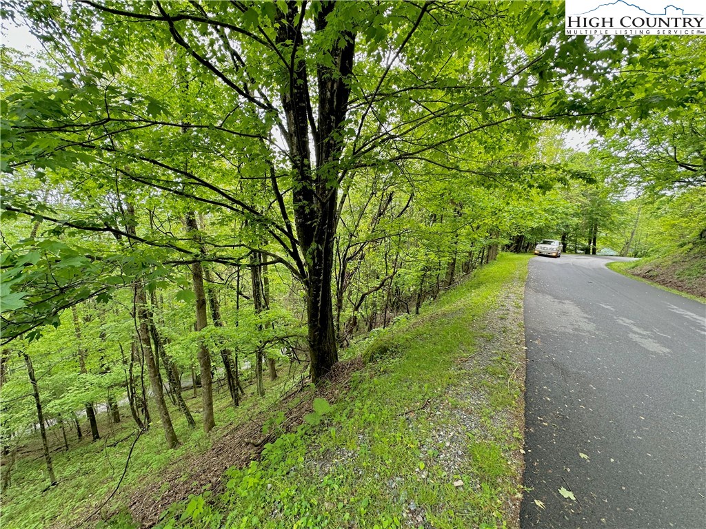Tbd Alpine Drive Property Photo 2