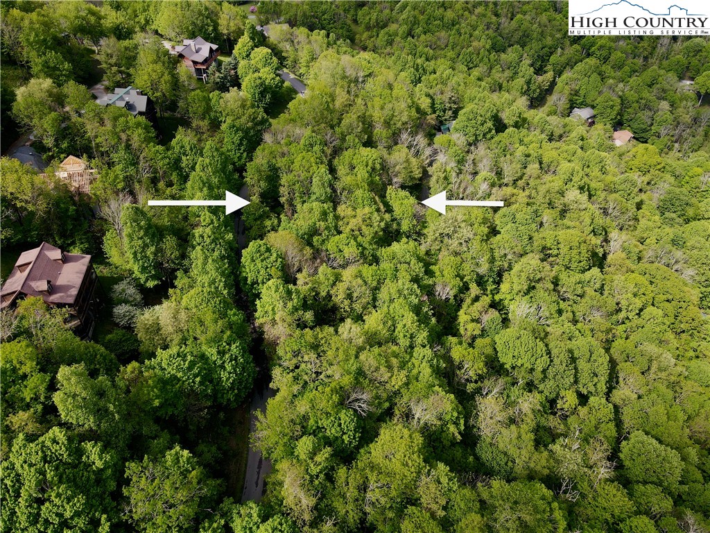 Tbd Alpine Drive Property Photo 3