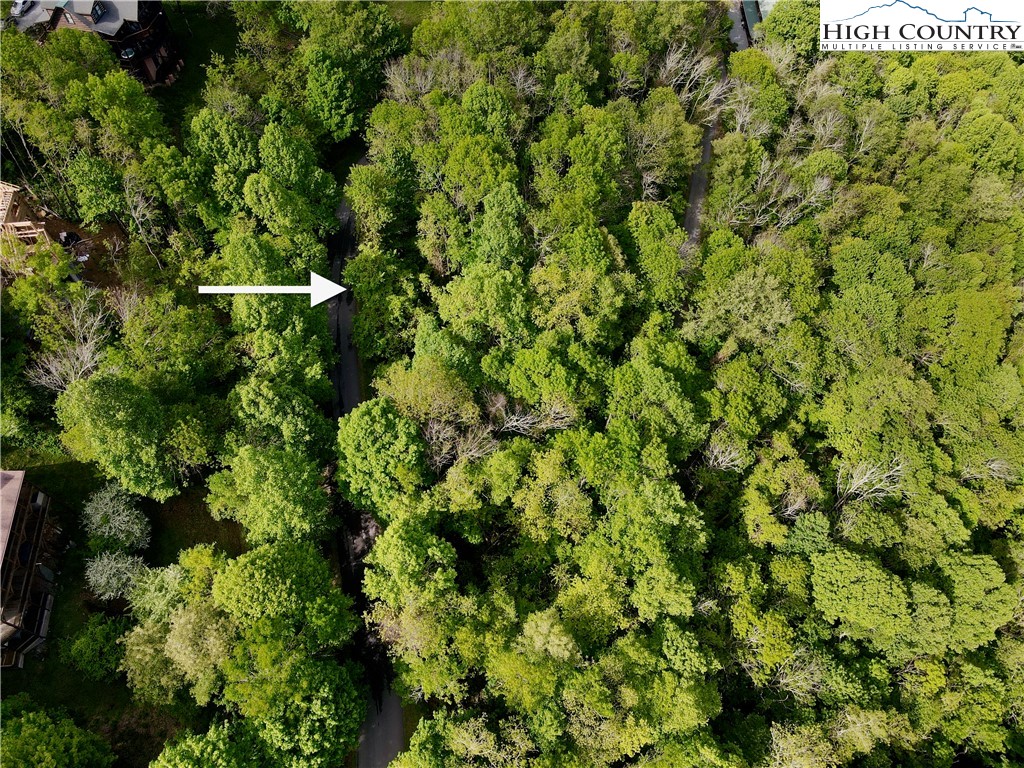 Tbd Alpine Drive Property Photo 6