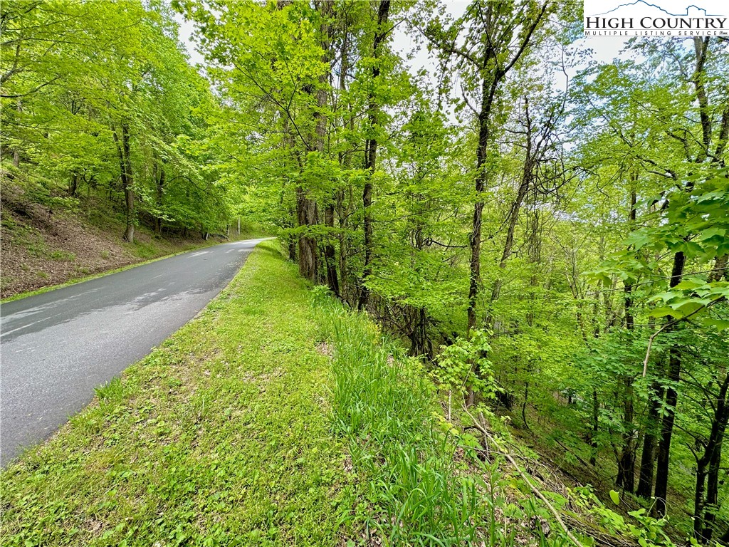 Tbd Alpine Drive Property Photo 7