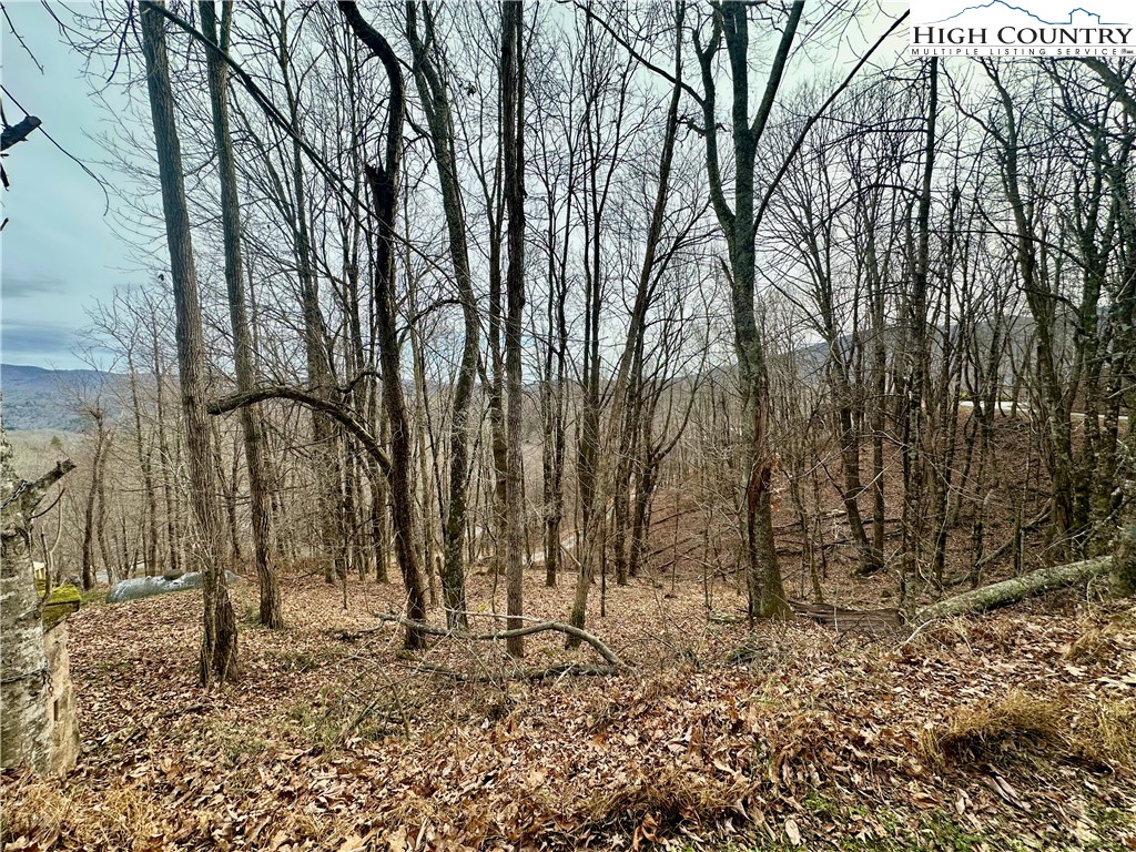 TBD Alpine Drive Property Photo 1