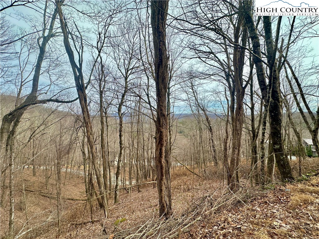 Tbd Alpine Drive Property Photo 2