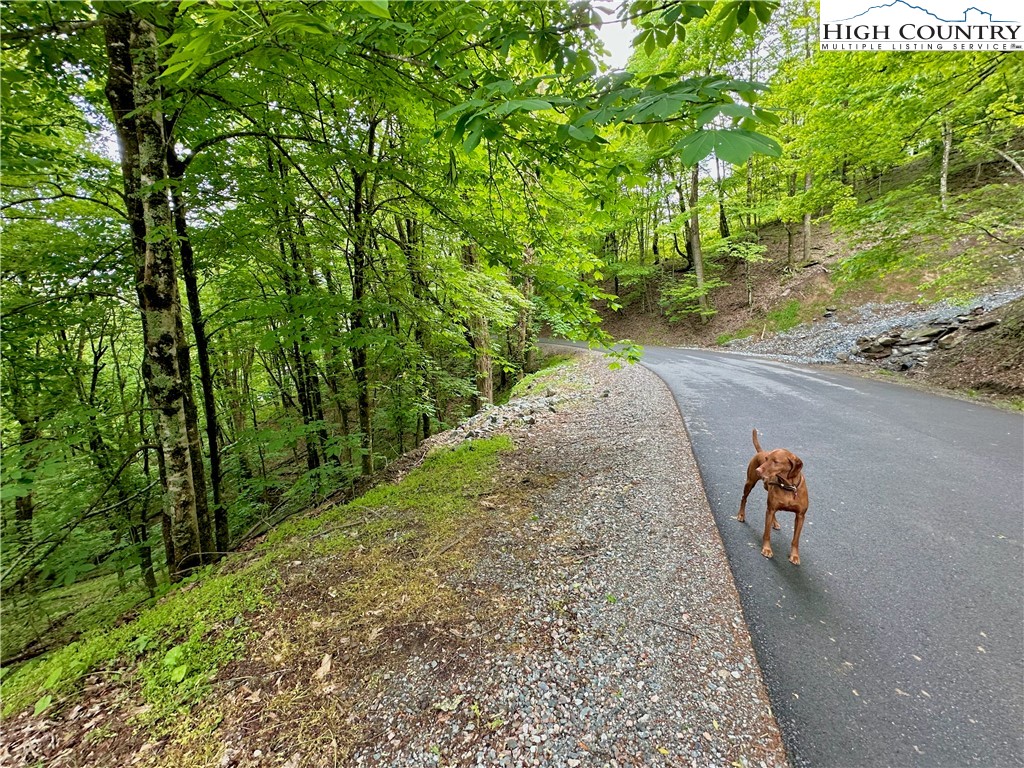 Tbd Alpine Drive Property Photo 3