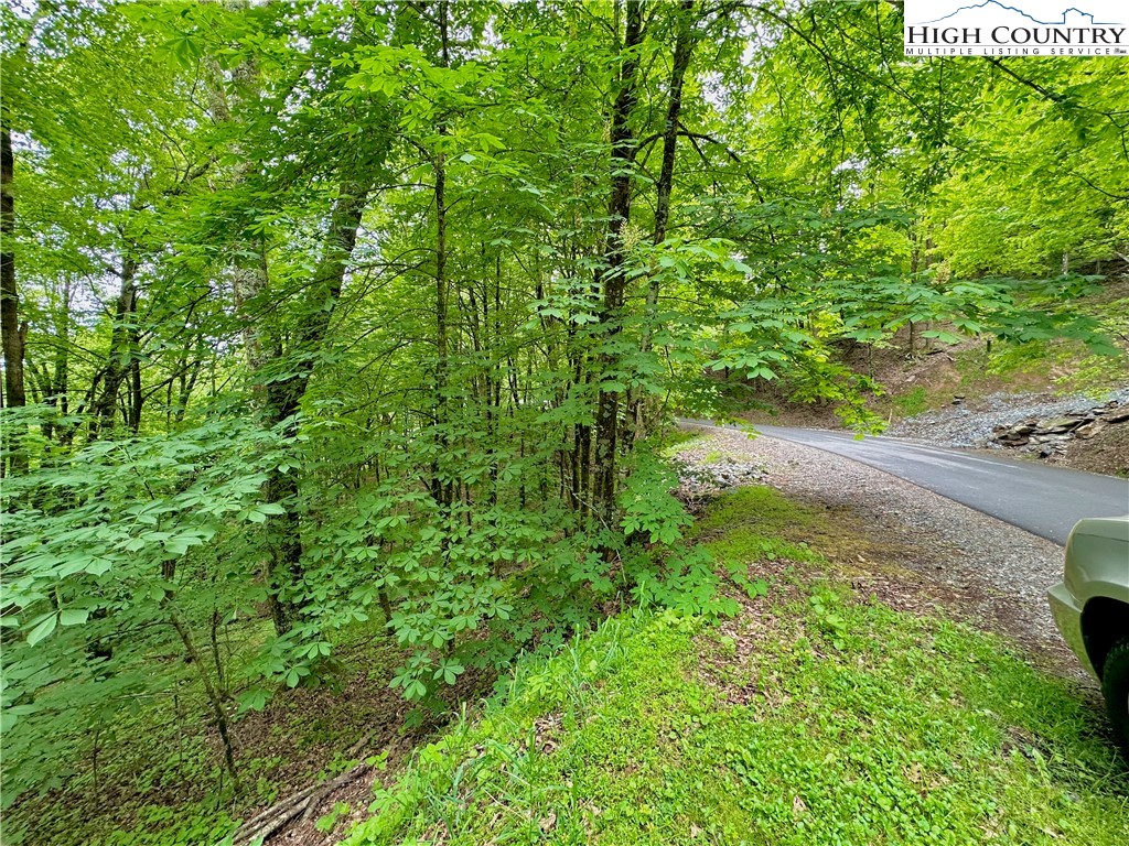 Tbd Alpine Drive Property Photo 4