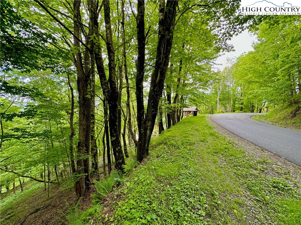 Tbd Alpine Drive Property Photo 5