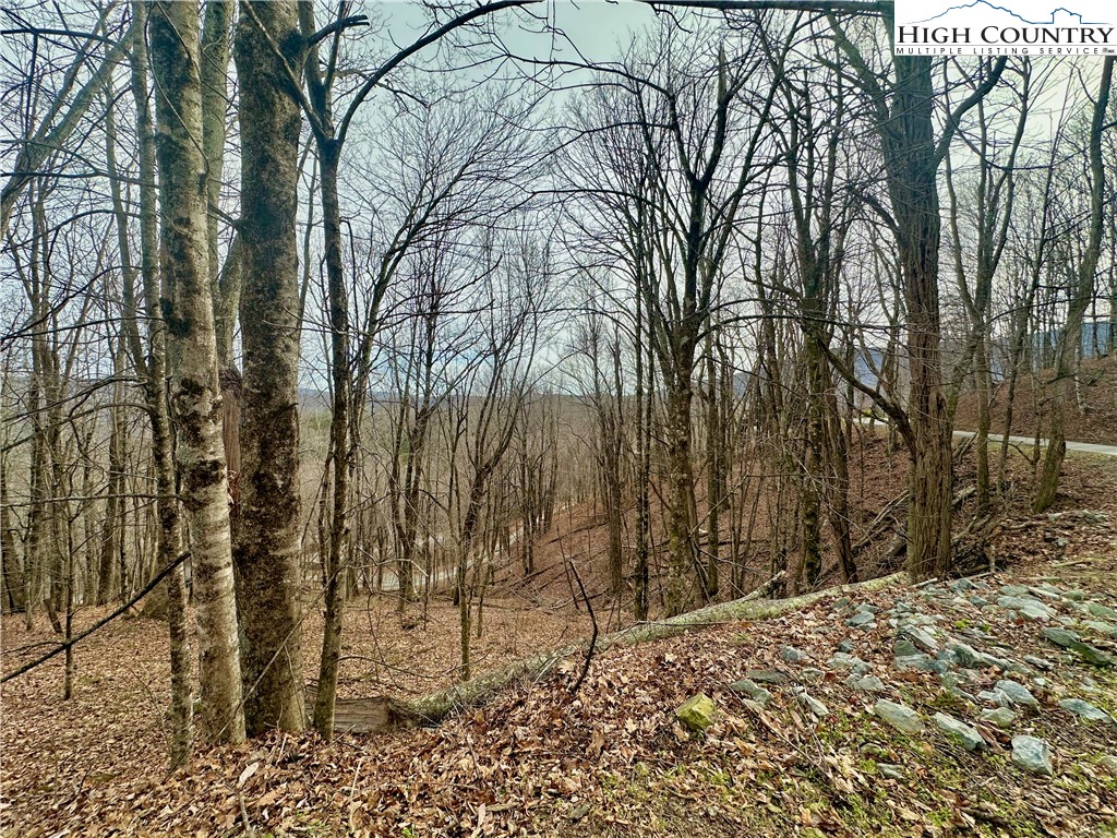 Tbd Alpine Drive Property Photo 6