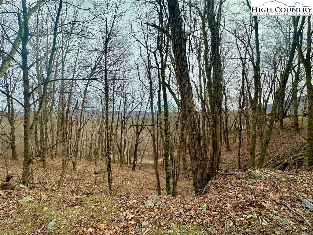 Tbd Alpine Drive Property Photo 7