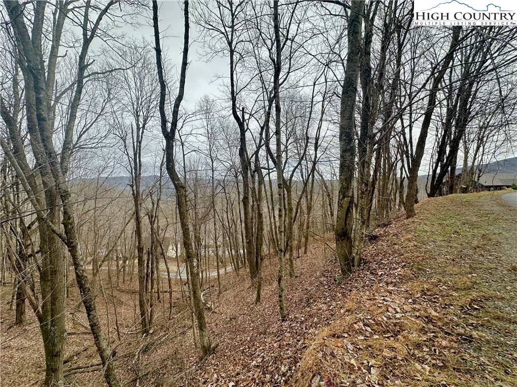 Tbd Alpine Drive Property Photo 8