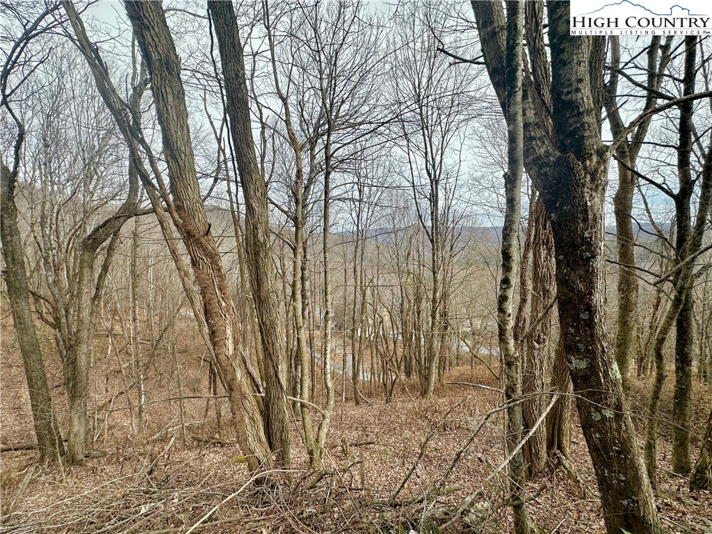 Tbd Alpine Drive Property Photo 9