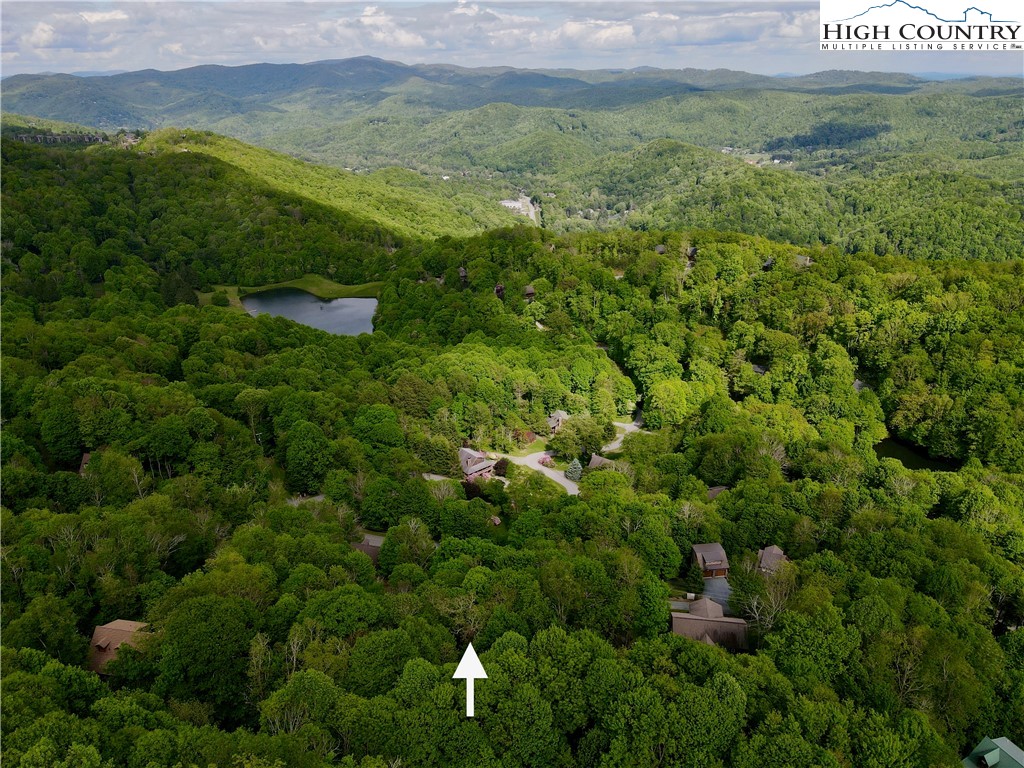 Tbd Alpine Drive Property Photo 11