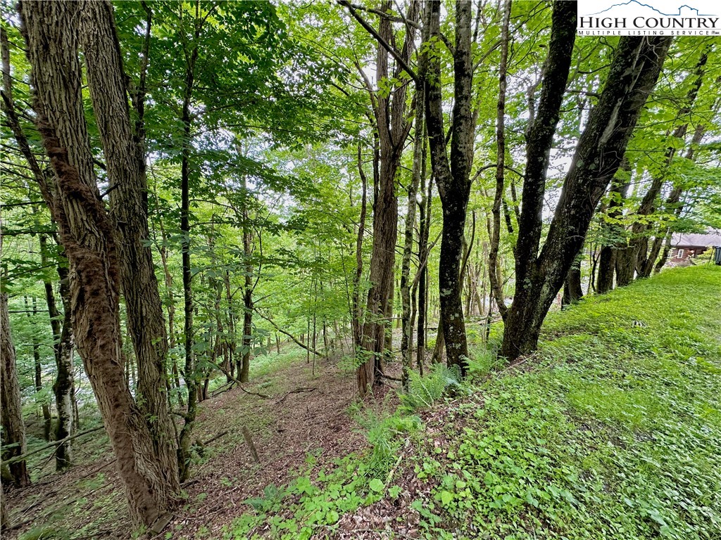 Tbd Alpine Drive Property Photo 14