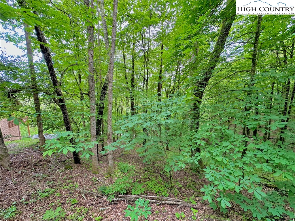 Tbd Alpine Drive Property Photo 15