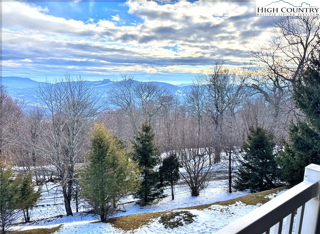 3441 S Beech Mountain Parkway A4 Property Photo 2