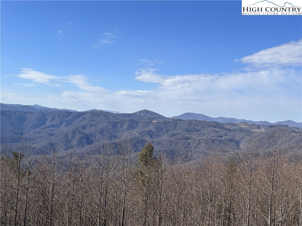 Tbd Angelfire Trail Property Photo 2