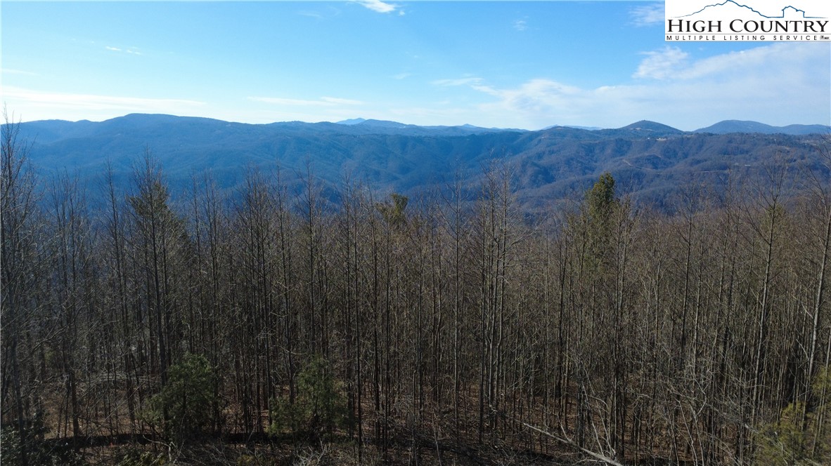 Tbd Angelfire Trail Property Photo 3