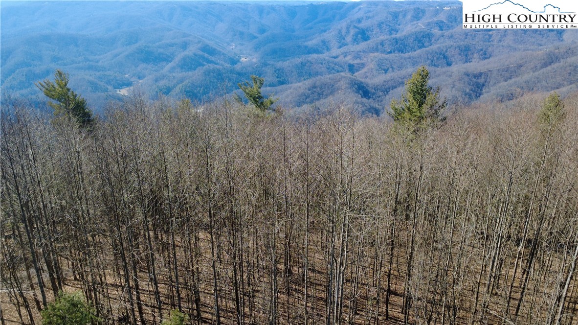 Tbd Angelfire Trail Property Photo 7