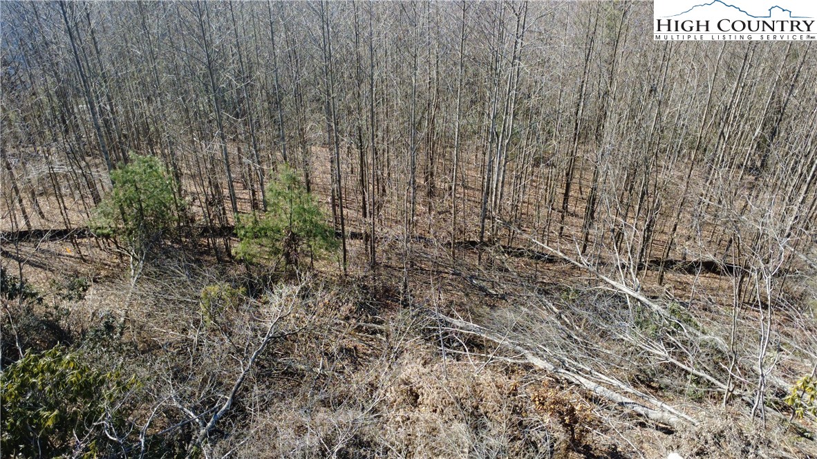 Tbd Angelfire Trail Property Photo 8