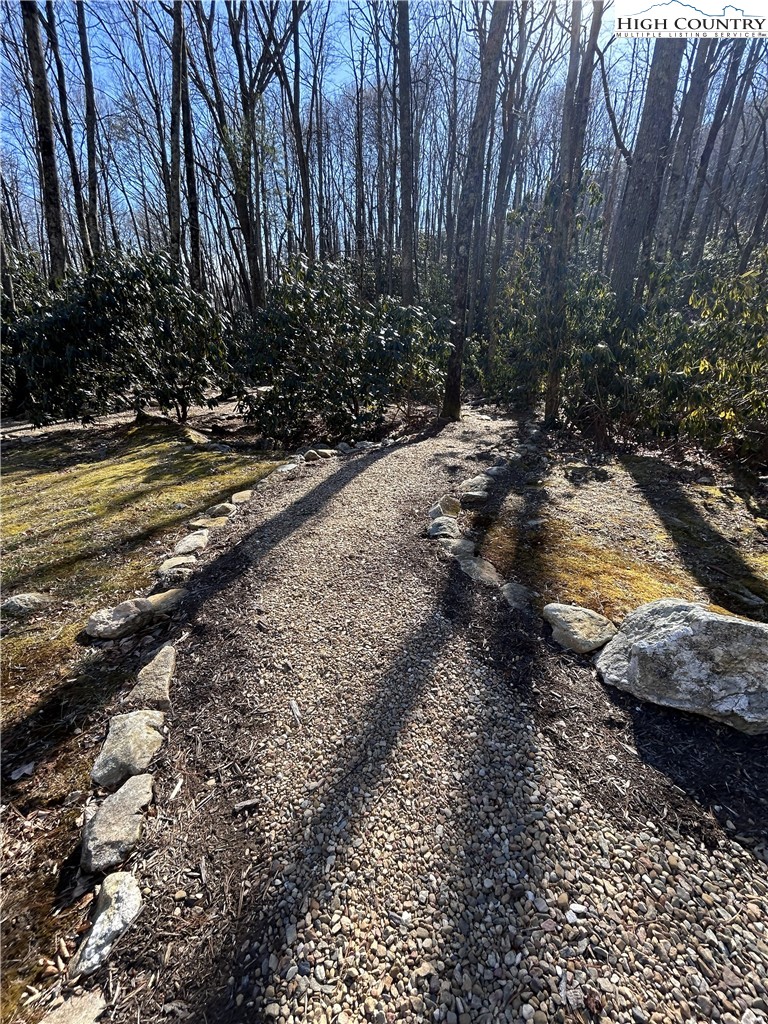 Tbd Angelfire Trail Property Photo 11