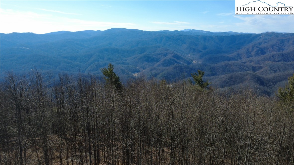 Tbd Angelfire Trail Property Photo 17
