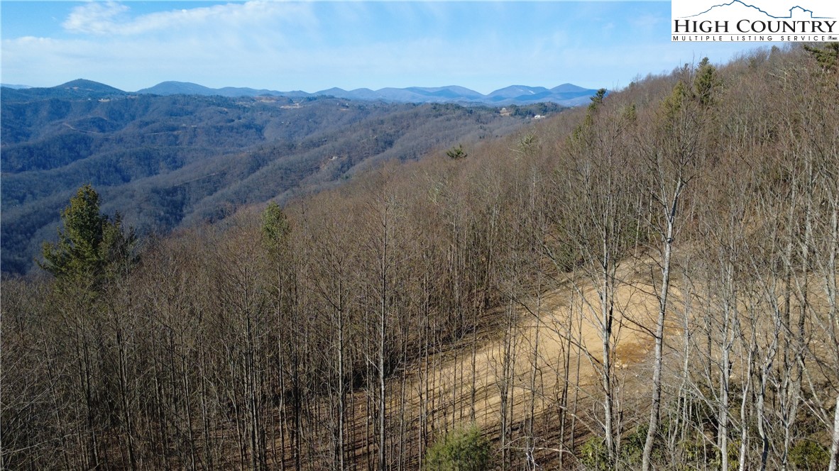 Tbd Angelfire Trail Property Photo 18