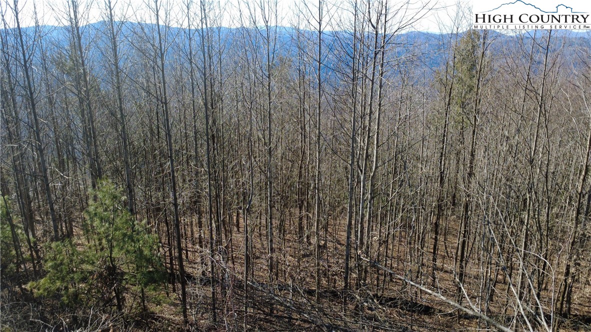 Tbd Angelfire Trail Property Photo 19