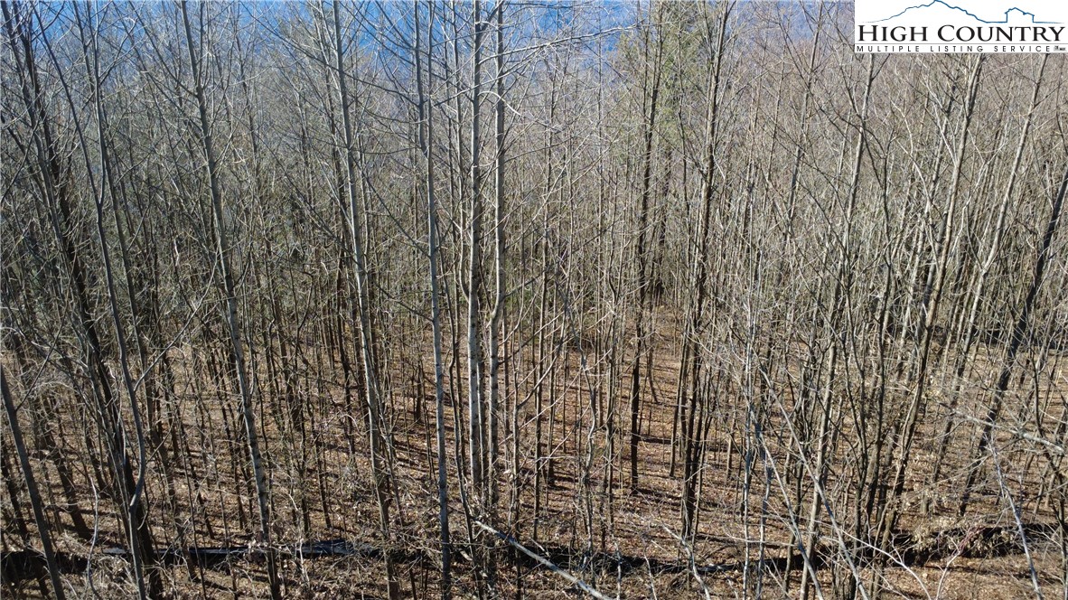 Tbd Angelfire Trail Property Photo 20