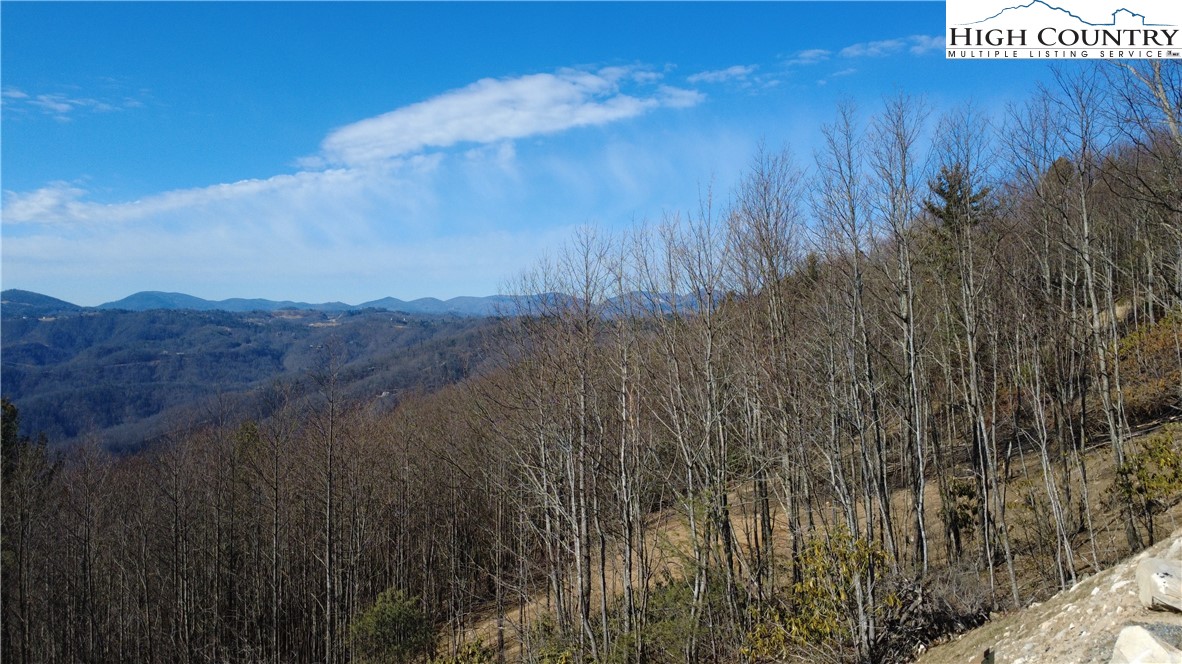 Tbd Angelfire Trail Property Photo 21