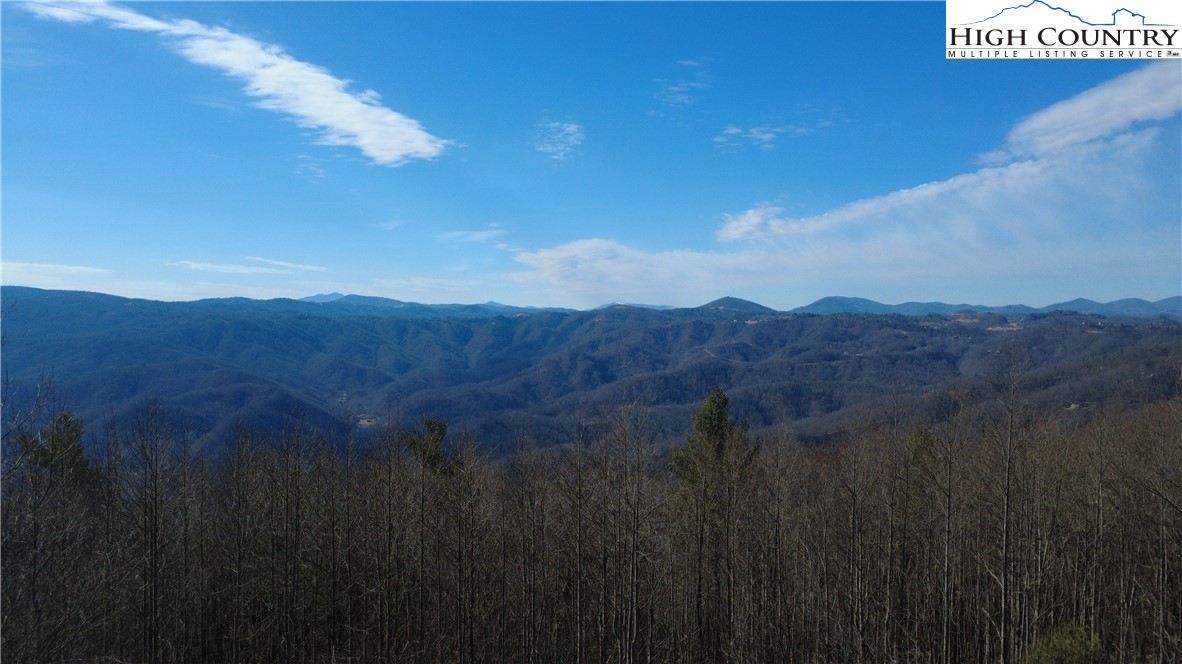 Tbd Angelfire Trail Property Photo 22