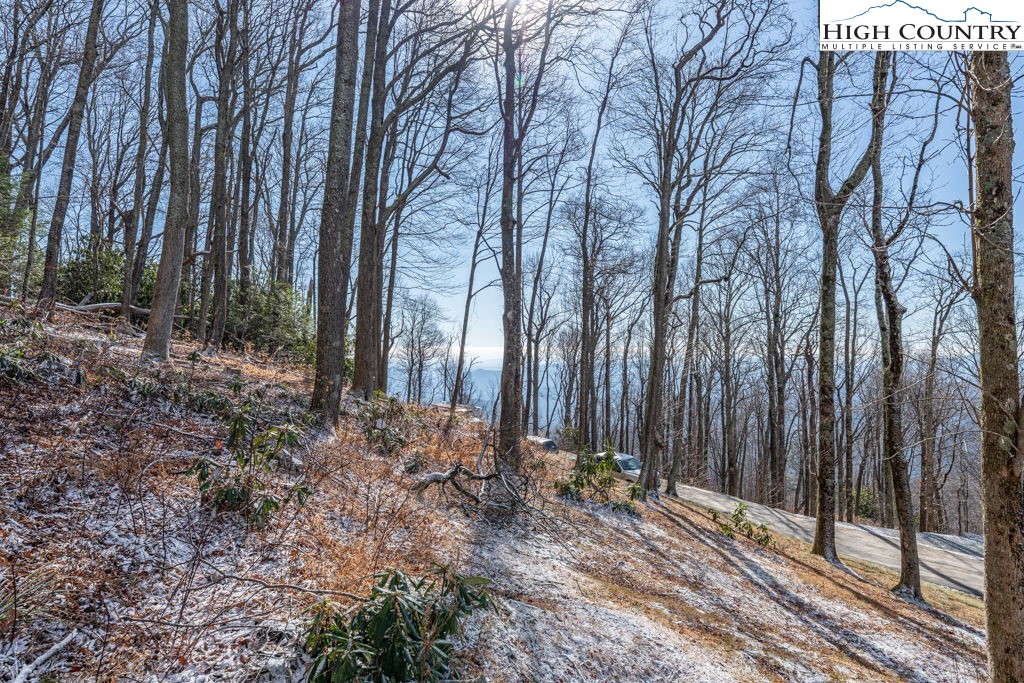 Lot 9 High Hemlock Trail